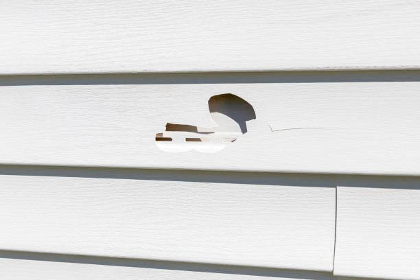  , USA Siding Installation & Repair Pros